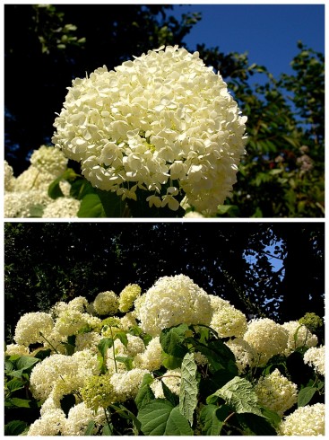 2013-07-27_0001