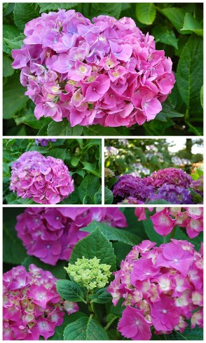 2013-07-27_0003