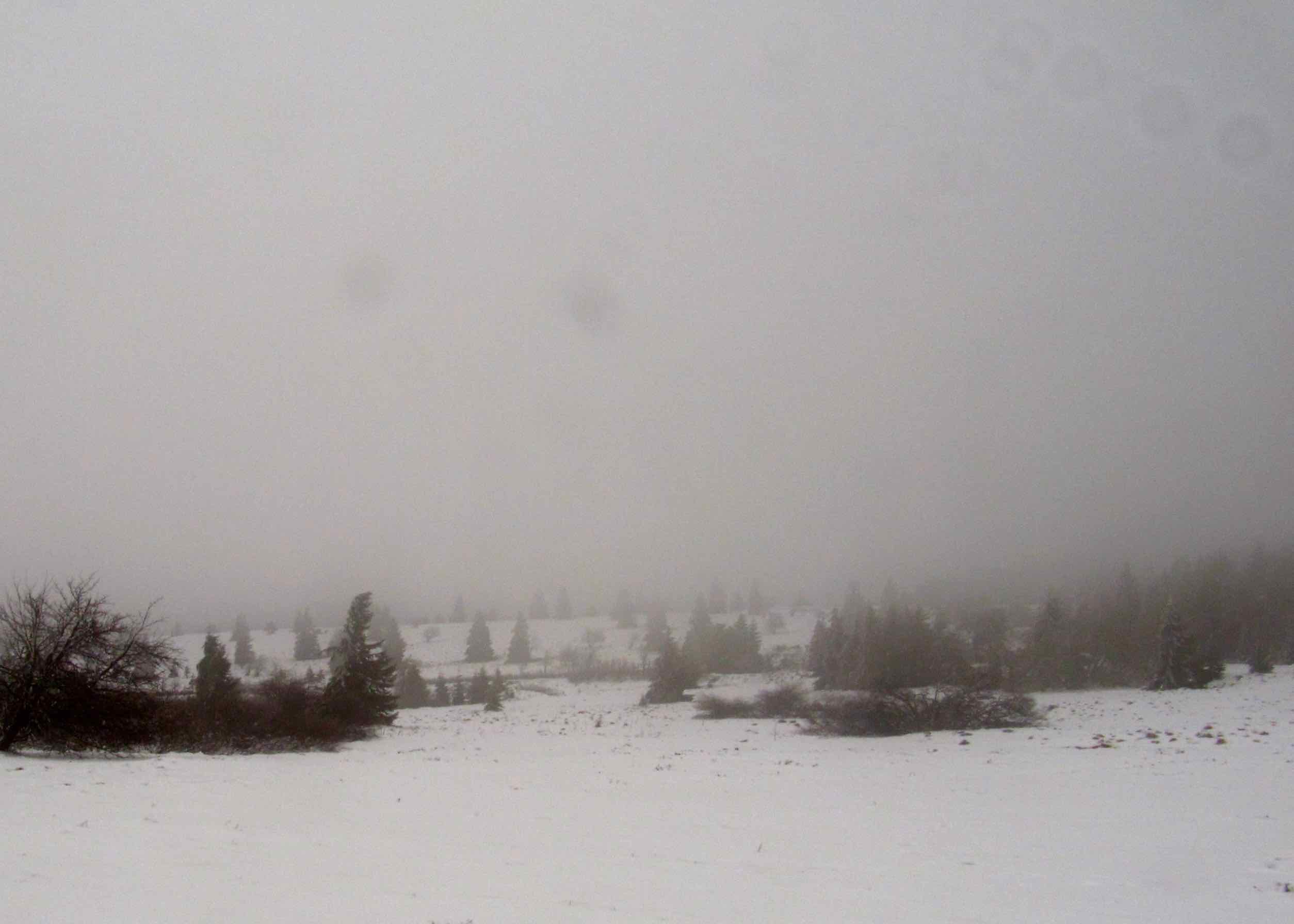 Nebel